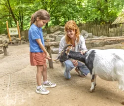 Mutter und Kind füttern Ziege.