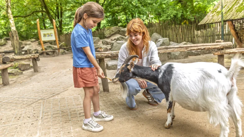 Mutter und Kind füttern Ziege.