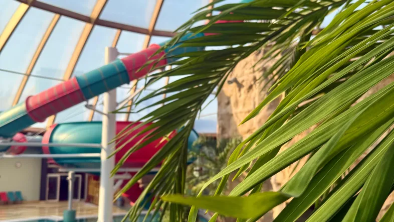 Rutsche im Erlebnisbecken.