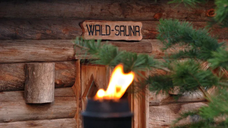 Blick von außen in die Waldsauna im Revierpark Nienhausen durch die Tür, umgeben von Bäumen.