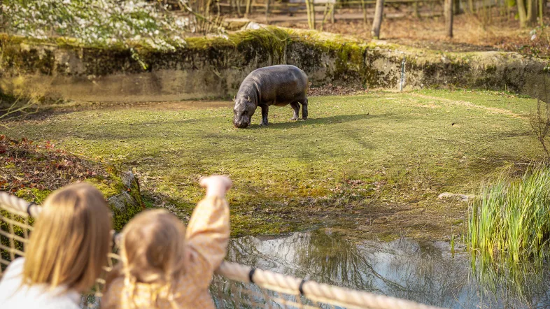 2 25 03 06 Kids bij dieren coverfoto v2d