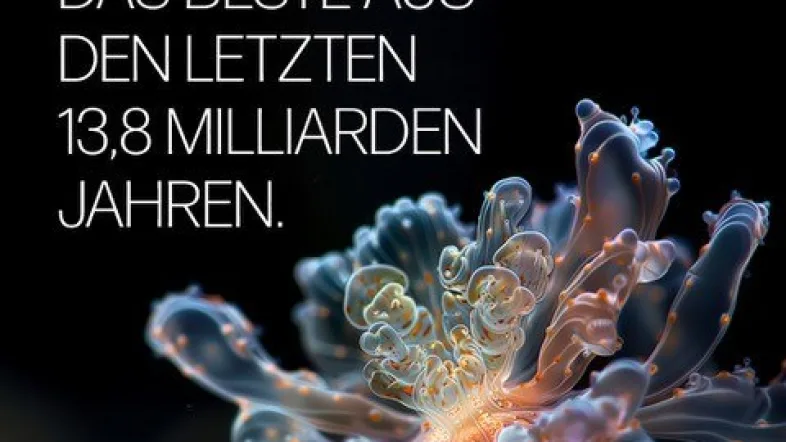 Teaser: Das UNIVERSUM. Das beste aus den letzten 13,8 Milliarden Jahren.