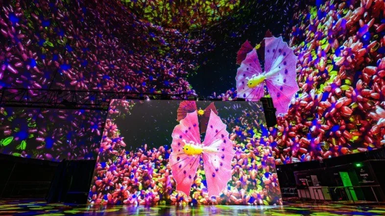 Bunte Lichtprojektion Visiodrom im Gaskessel Wuppertal