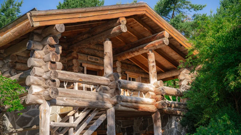 Holzsauna