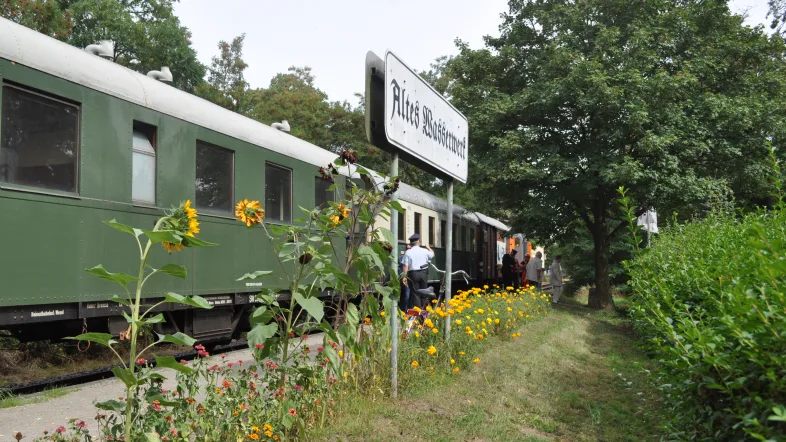 Historischer Zug am Haltepunkt "Altes Wasserwerk"