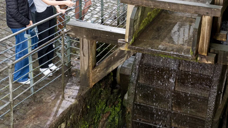 Eine Gruppe von Menschen schaut sich Wasser an der Papiermühle alte Dombach in Bergisch Gladbach an.