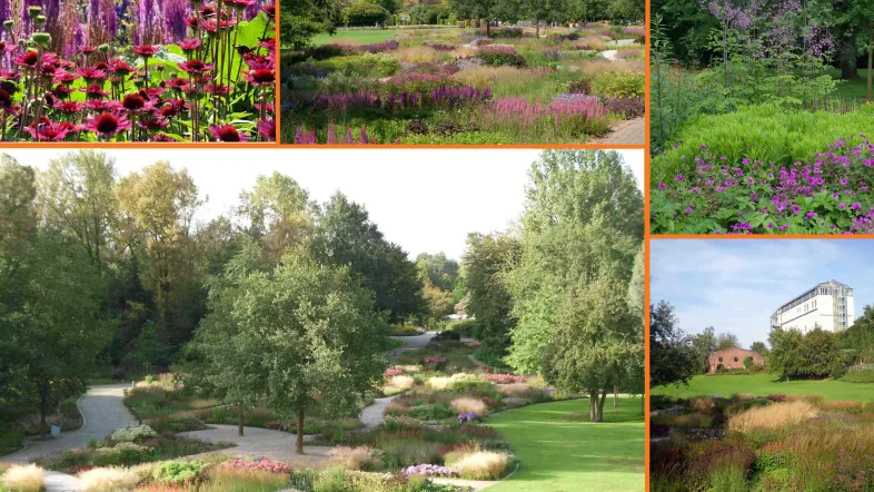 Collage mit Pflanzenmotiven aus dem Maximilianpark Hamm, darunter Blumen, Grünflächen und tropische Gewächse.
