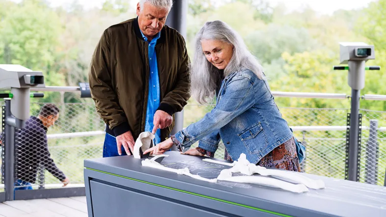 Ein erwachsenes Paar ertastet die Rekonstruktion des Neanderthaler Skeletts auf dem Erlebnisturm Höhlenblick