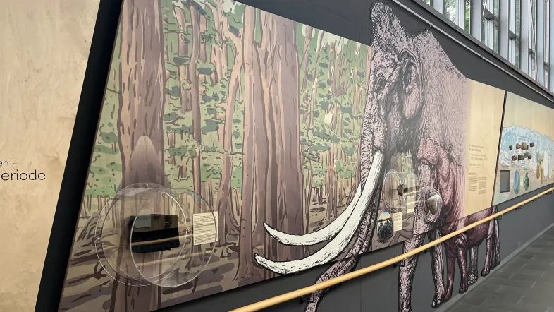 Umgang Erdgeschichte