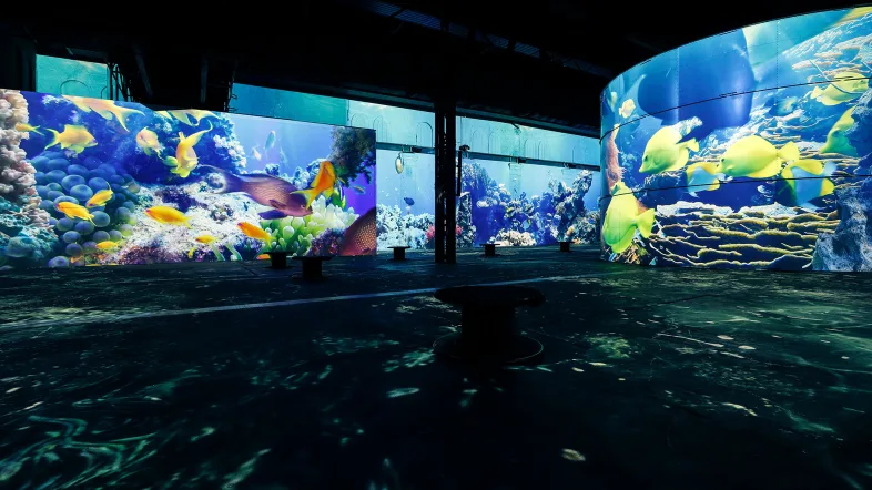 Unterwasserwelt auf multimedialer Leinwand