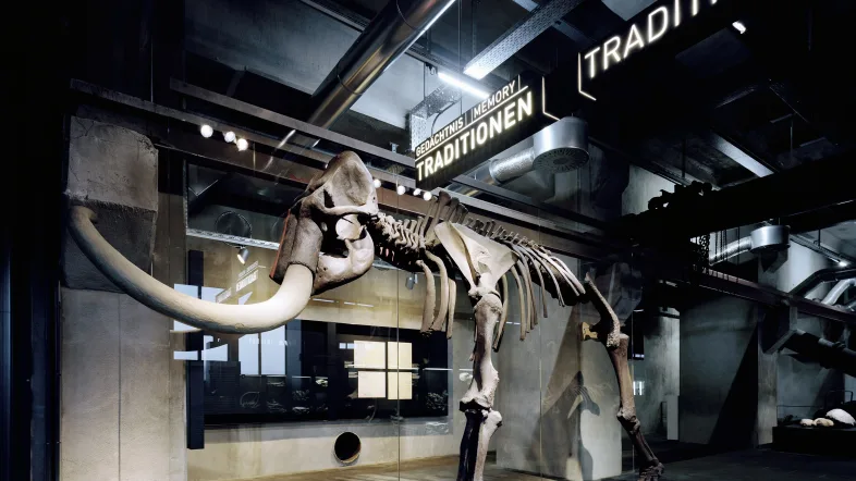 Ausstellung eines Skeletts im Ruhr Museum und Portal der Industriekultur in Essen.