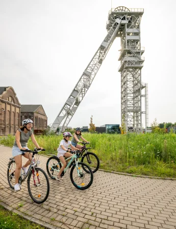 Die Stadtagentur Dorsten bietet geführte Fahrradtouren zu verschiedenen Themen