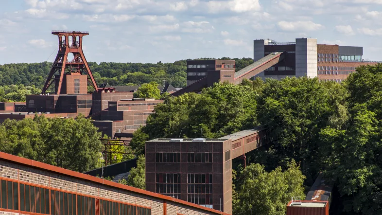 Grüner Parkbereich mit Bäumen und Wiesen auf dem Gelände der Zeche Zollverein Essen.