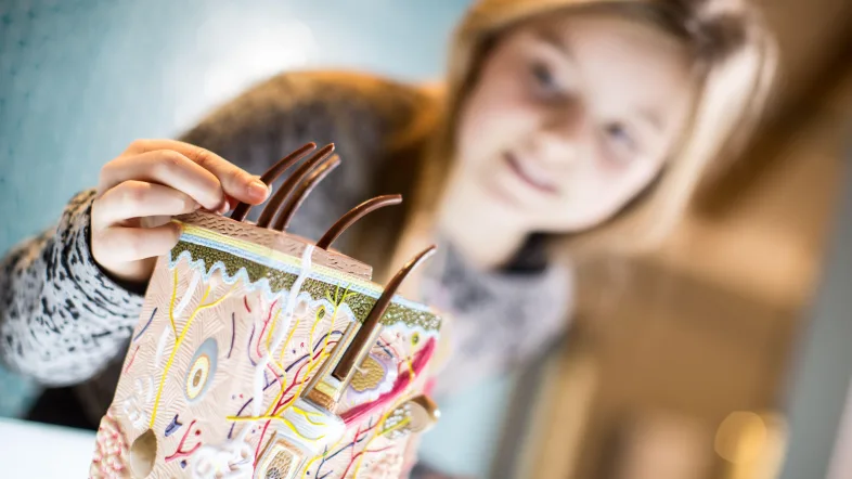 Mädchen schaut sich ein Modell in den Salzwelten in Bad Sassendorf an.